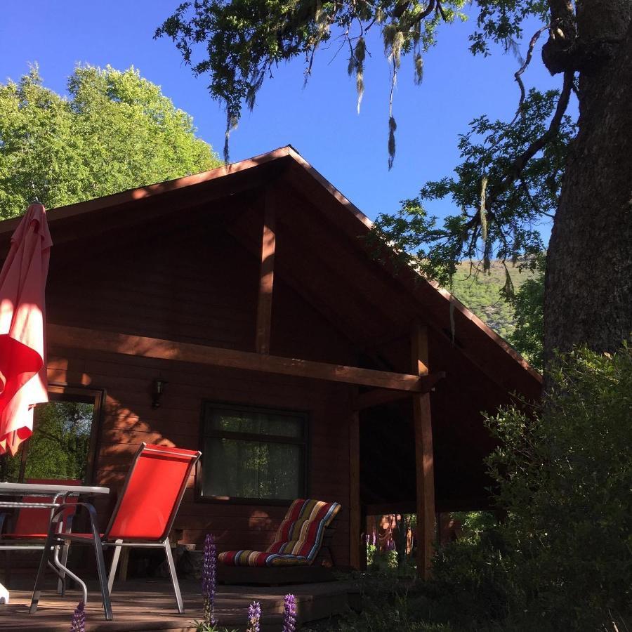 Basecamp Las Trancas Villa Bagian luar foto